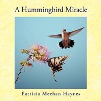 A Hummingbird Miracle