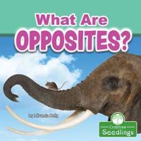 What Are Opposites?