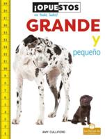 Grande Y Pequeño (Big and Small)