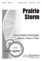 Prairie Storm