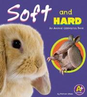 Soft and Hard