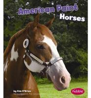 American Paint Horses