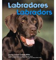 Labradores