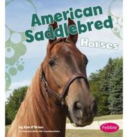 American Saddlebred Horses