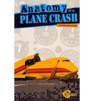 Anatomy of a Plane Crash