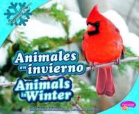 Animales En Invierno