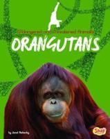 Orangutans