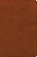 NASB Large Print Thinline Bible, Burnt Sienna LeatherTouch