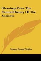 Gleanings From The Natural History Of The Ancients