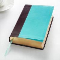 KJV Giant Print Lux-Leather Teal/Brown