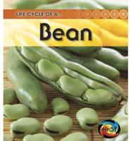 Life Cycle of a Bean