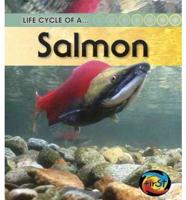 Life Cycle of A-- Salmon