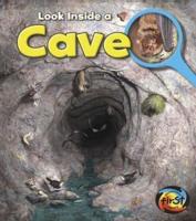 Look Inside a Cave
