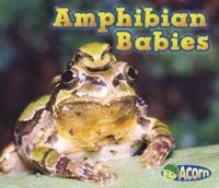 Amphibian Babies