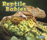 Reptile Babies