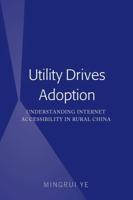 Utility Drives Adoption; Understanding Internet Accessibility in Rural China