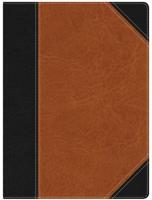 HCSB Study Bible, Black/Brown LeatherTouch