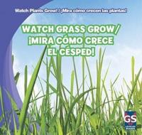 Watch Grass Grow / ¡Mira Cómo Crece El Césped!