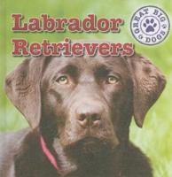 Labrador Retrievers