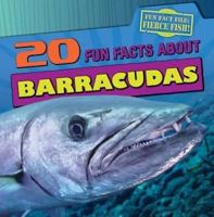 20 Fun Facts About Barracudas