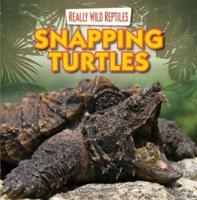 Snapping Turtles