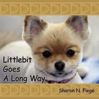 Littlebit Goes A Long Way
