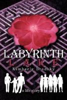 Labyrinth Lake: A Life Story