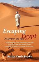 Escaping Egypt: A Slave on the Run