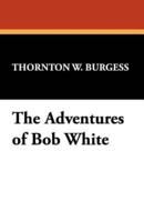 The Adventures of Bob White