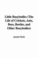 Little Busybodies (the Life of Crickets, Ants, Bees, Beetles, and Other