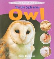 The Life Cycle of an Owl