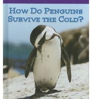 How Do Penguins Survive the Cold?