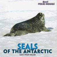 Seals of the Antarctic