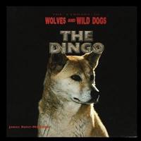 The Dingo