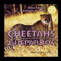 Cheetahs/Guepardos