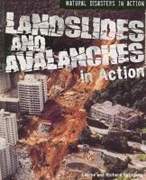 Landslides and Avalanches in Action