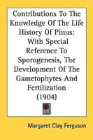 Contributions To The Knowledge Of The Life History Of Pinus