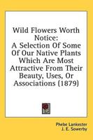 Wild Flowers Worth Notice