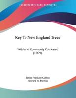 Key To New England Trees