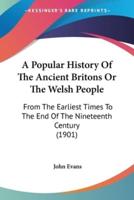 A Popular History Of The Ancient Britons Or The Welsh People