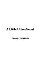 A Little Union Scout