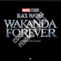 Black Panther 2 - Wakanda Forever (Secure) Wall