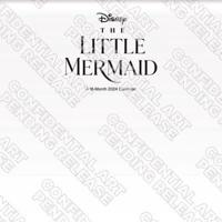 24Wall the Little Mermaid Live Action (Secure)