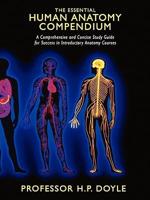 THE ESSENTIAL HUMAN ANATOMY COMPENDIUM : A Comprehensive and Concise Study Guide for Success in Introductory Anatomy Courses