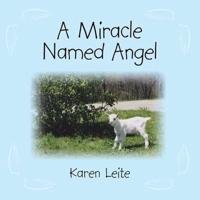 A Miracle Named Angel