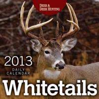 Whitetails 2013 Daily Calendar