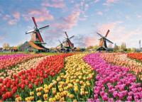 Windmills and Tulips 1000 Piece Jigsaw Puzzle