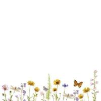 Wildflower Garden Desk Notes (250 Sheets)