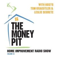 The Money Pit, Vol. 14 Lib/E