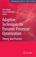 Adaptive Techniques for Dynamic Processor Optimization : Theory and Practice
